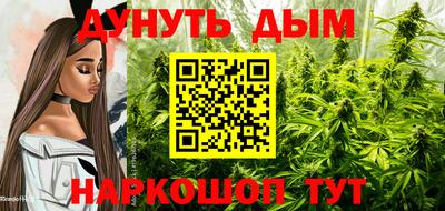 jwh Лесосибирск