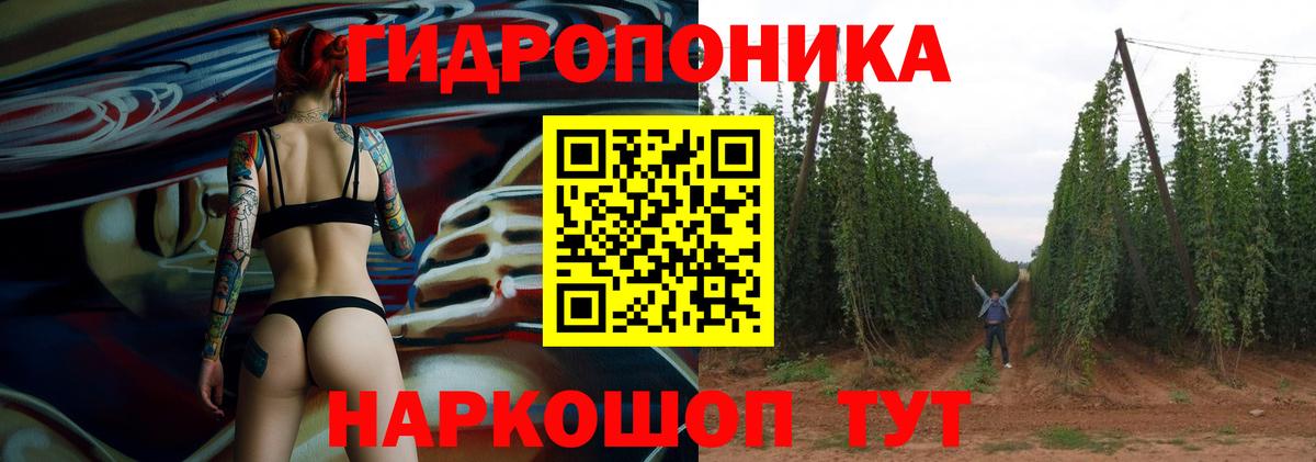 Бошки Шишки конопля Ишимбай